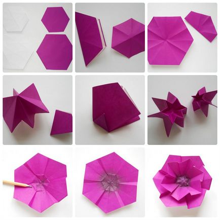 A legnépszerűbb program a színek, a szakterületen origami (diagram) A legnépszerűbb program a virágok origami technikával