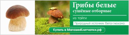 Сайт про смачну і здорову їжу - все, що потрібно знати про грибах