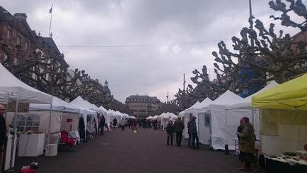 Inima Europei - Strasbourg 20 fapte interesante