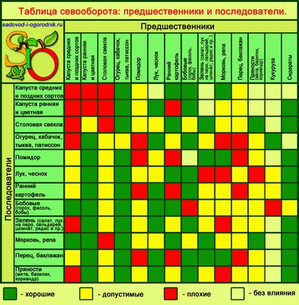 Сівозміну овочевих культур таблиця, попередники овочів, організація чергування на дачі