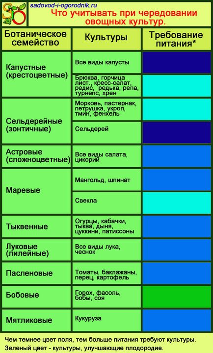 Сівозміну овочевих культур таблиця, попередники овочів, організація чергування на дачі