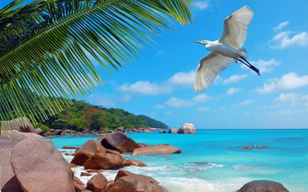 Seychelles Mai degrabă de făcut, un blog delicios despre călătorii