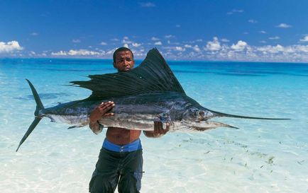 Seychelles Mai degrabă de făcut, un blog delicios despre călătorii