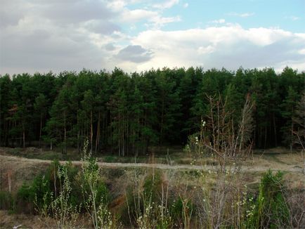 Cariera din Shchelkovo este drumul nostru