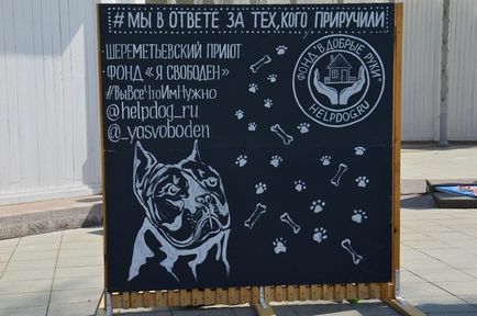 Шереметьєвський притулок