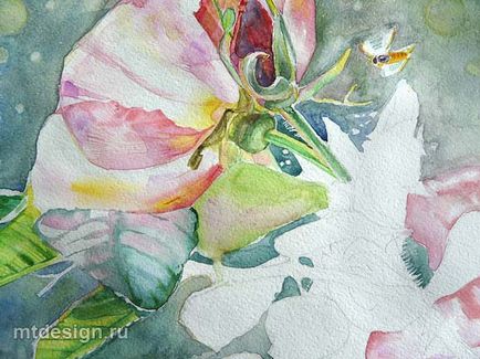 Câine Rose Watercolor, mtdesign