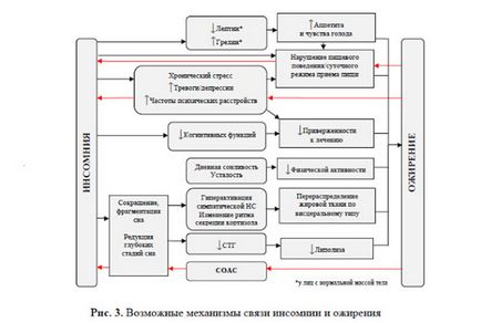 Синдром нічного апетиту чарівництво закінчується опівночі