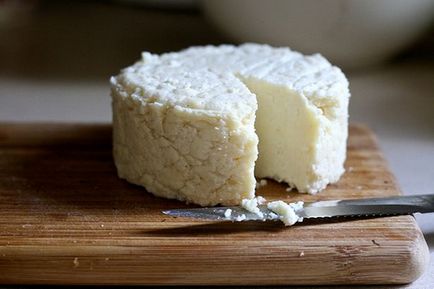 Ricotta compoziția brânzeturilor, durata de conservare și speciile