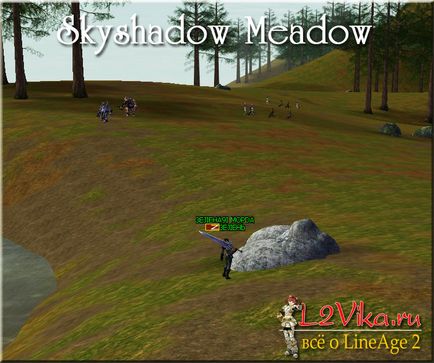 Skyshadow meadow - луг небесної тіні - lineage 2