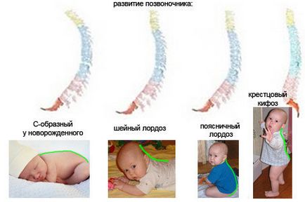 Слінги, рюкзак і кенгуру для новонароджених