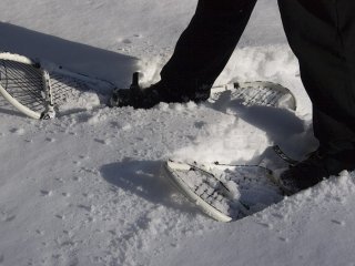 Snowshoes - caracteristici ale alegerii și cumpărării de snowshoes