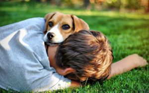 Un câine este mai mult decât un prieten uman, un Likit