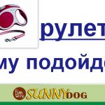 Собака бачить інших собак і починає гавкати на них