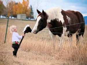 Soarele în zâmbetul copiilor feluri și fotografii inspirate de Elena Karneyeva - târg de maeștri -