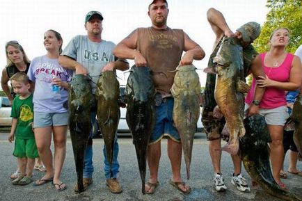 Змагання з ловлі сомів голими руками - відео і фотографії - рибалка - інформаційно