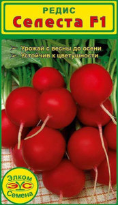 Сорти раннього редису опис, відгуки, фото