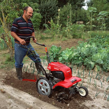 Sfaturi pentru cultivarea solului cu un cultivator - secretul dăruirii