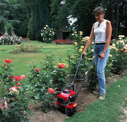 Sfaturi pentru cultivarea solului cu un cultivator - secretul dăruirii