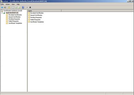 Crearea și configurarea unei autorități locale de certificare a întreprinderii pe Windows 2008 - îmbinată