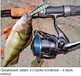 Articole și cărți ale lui Konstantin Kuzmin despre pescuit