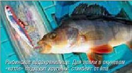 Articole și cărți ale lui Konstantin Kuzmin despre pescuit