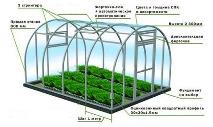 Construcția de seră în etapele tehnologiei olandeze, caracteristici, echipamente necesare, fotografie