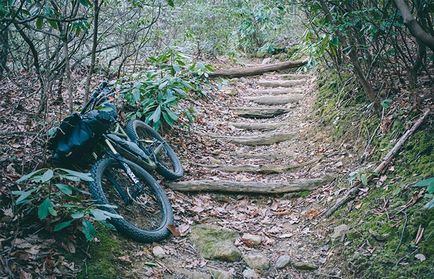 Pungi pentru iubitorii de biciclete