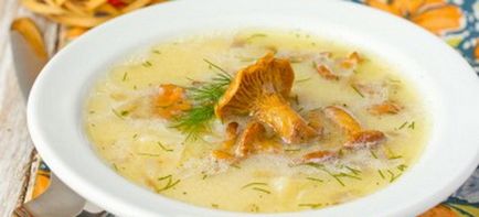 Суп з лисичок - смачні рецепти крем-супу, сирного і вершкового страви з гібамі і куркою