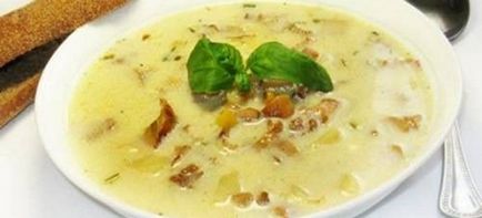 Chanterelle supa - retete delicioase de supa de cremă, brânză și mâncăruri de cremă cu bac și carne de pui