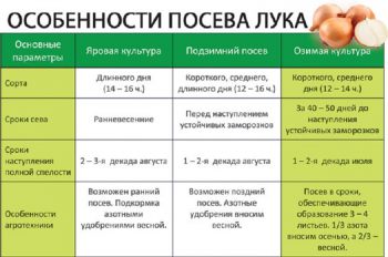 Schema de plantare a cepei pentru iarnă