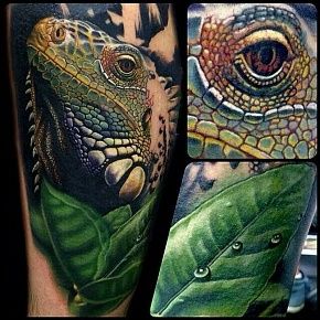 Iguana Tattoo