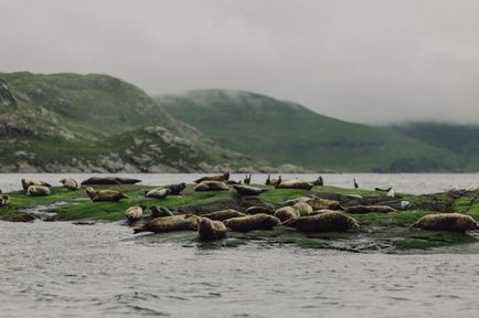 Titkos skót esküvő az Isle of Skye