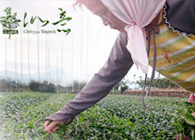 Taiwan ceai negru lychee