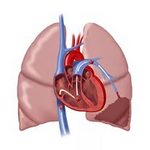 Tal (tromboembolismul arterei pulmonare) - tratamentul bolii