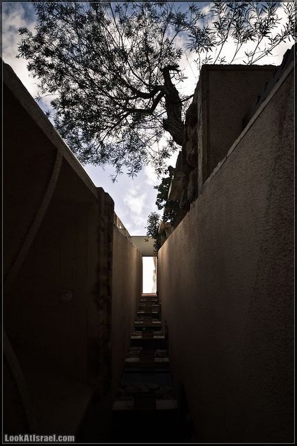 Tel Aviv, casa de nebuni numărul 181 sau cât de mult va fi 1 1, fotografii ale Israelului și nu numai