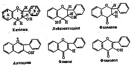 Tema 8 substanțe fenolice