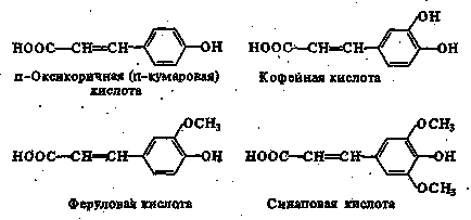 Tema 8 substanțe fenolice