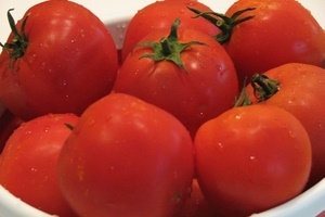 Tomato - Sanka caracteristică și descrierea soiului - magia plantelor