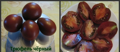 Tomato japoneză trufe negru descriere și caracteristici de cultivare