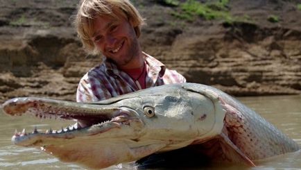 Топ 10 найбільші прісноводні риби в світі