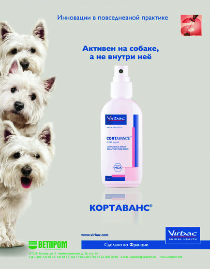 A glükokortikoidok helyi állatorvosi bőrgyógyászat újdonságokat (glükokortikoid) A glükokortikoidok helyi állatorvosi bőrgyógyászat újdonságokat