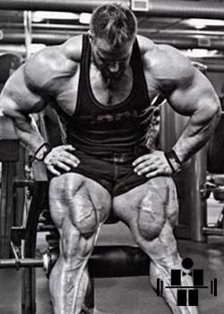 Workout and Nutrition Jay Cutler