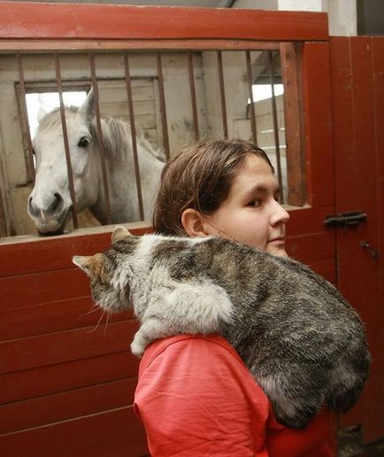 Трюк «червоної королеви»