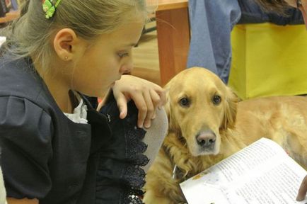 Tanulságok az irodalomból Labrador