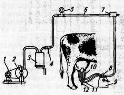 Пристрій і робота доїльного апарату