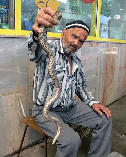 Узбекистан змії і їжаки - як альтернатива традиційній медицині