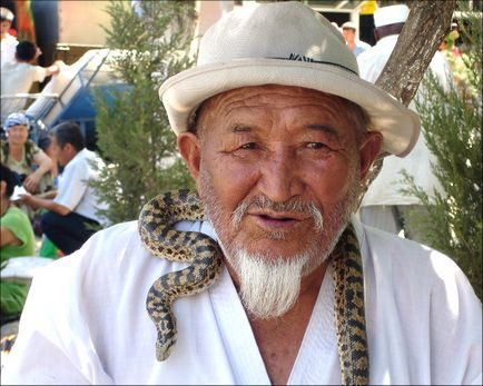 Șerpi și arici Uzbekistan - ca o alternativă la medicina tradițională