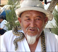 Узбекистан змії і їжаки - як альтернатива традиційній медицині