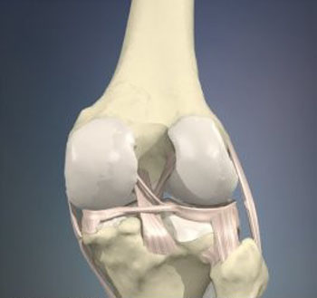 Узі суглобів узі плечового, колінного, суглобів, лучезапястного, кисті і ліктьового суглобів
