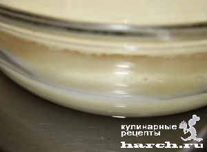 Lapte condensat fiert (metoda de gătit), fotoreceptor cu descriere detaliată din
